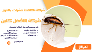شركة مكافحة حشرات بالخرج 