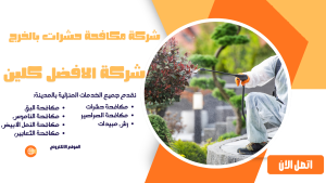 شركة مكافحة حشرات بالخرج 