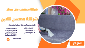 شركة تنظيف فلل بحائل