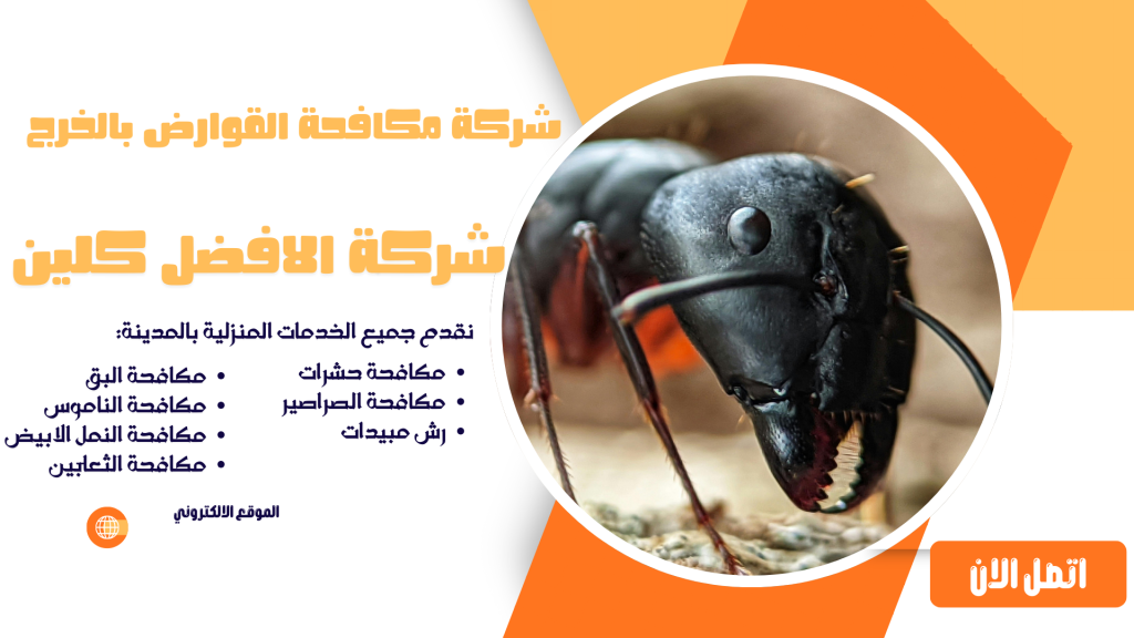 شركة مكافحة القوارض بالخرج شركة مكافحة حشرات بالخرج مكافحة حشرات بالخرج شركة رش مبيدات بالخرج افضل شركة مكافحة حشرات بالخرج ابادة الحشرات بالخرج شركة مكافحة النمل الأبيض بالخرج مكافحة النمل الأبيض بالخرج شركة مكافحة الصراصير بالخرج مكافحة الصراصير بالخرج شركة مكافحة الفئران بالخرج مكافحة الفئران بالخرج شركة مكافحة البق بالخرج مكافحة البق بالخرج شركة مكافحة الذباب بالخرج مكافحة الذباب بالخرج شركة مكافحة الناموس بالخرج مكافحة الناموس بالخرج شركة مكافحة العقارب بالخرج مكافحة العقارب بالخرج شركة مكافحة القوارض بالخرج مكافحة القوارض بالخرج شركة مكافحة حشرات منزلية بالخرج مكافحة حشرات المنازل بالخرج شركة مكافحة حشرات للمطاعم بالخرج مكافحة حشرات المطاعم بالخرج شركة مكافحة حشرات للفنادق بالخرج مكافحة حشرات الفنادق بالخرج