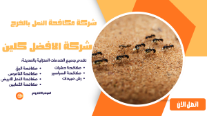 شركة مكافحة النمل بالخرج