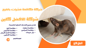 شركة مكافحة حشرات بالخرج 